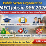 Public Sector Organization (PAEC) Jobs in DGK 2026